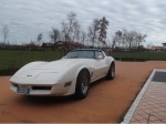 Usata CORVETTE C3