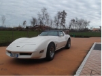 Usata CORVETTE C3