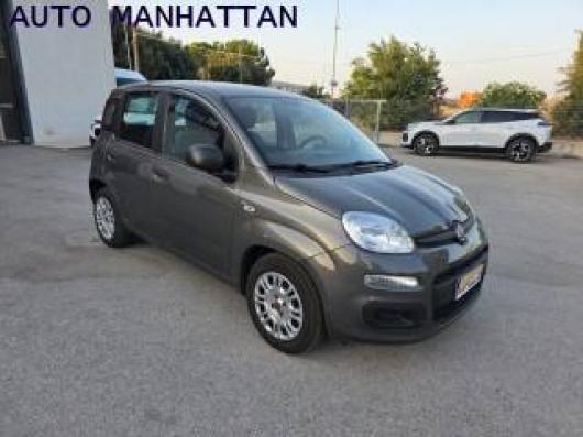 usato FIAT Panda