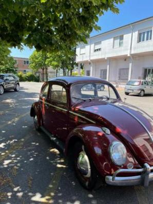 usato VOLKSWAGEN Maggiolino