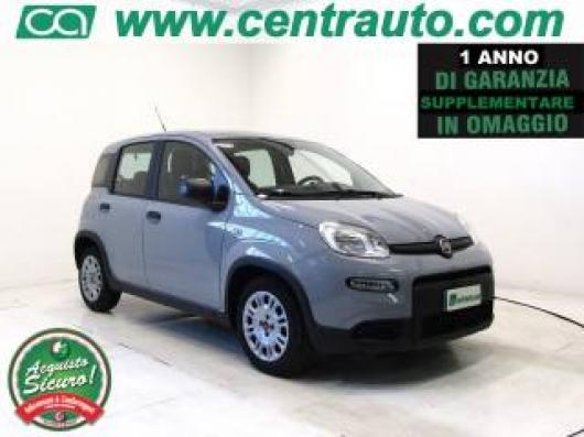 usato FIAT Panda