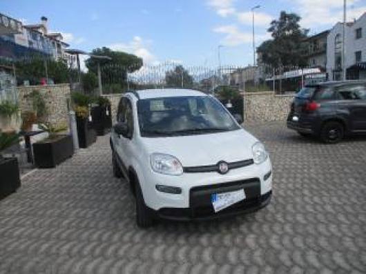 usato FIAT New Panda