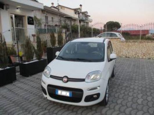 usato FIAT New Panda
