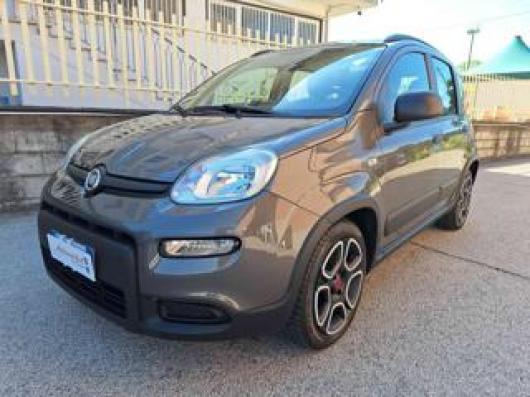 usato FIAT Panda