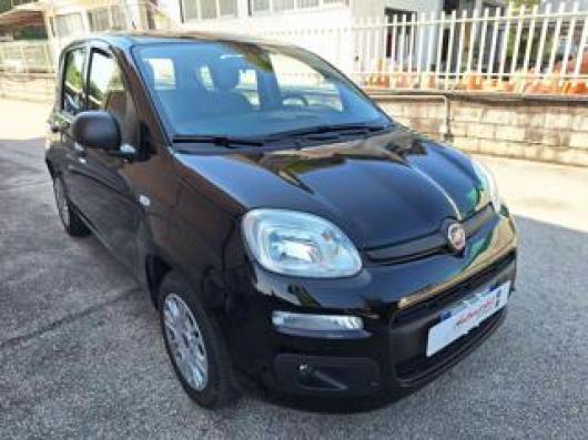 usato FIAT Panda