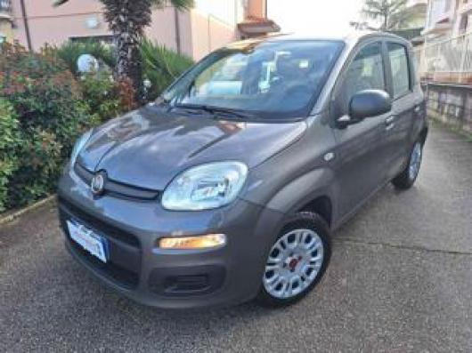 usato FIAT Panda
