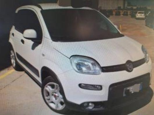 usato FIAT Panda