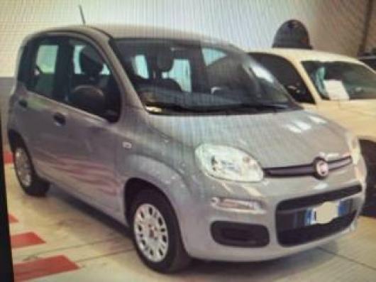 usato FIAT Panda