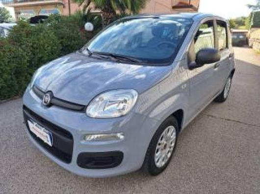 usato FIAT Panda