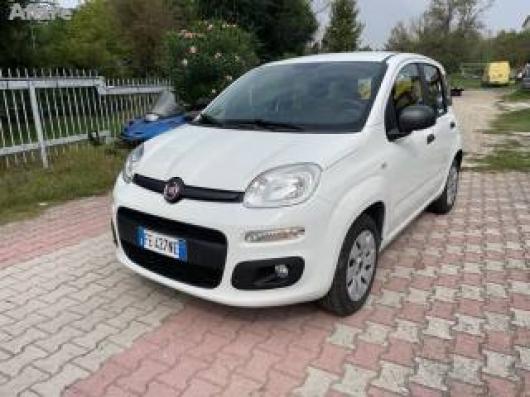 usato FIAT Panda