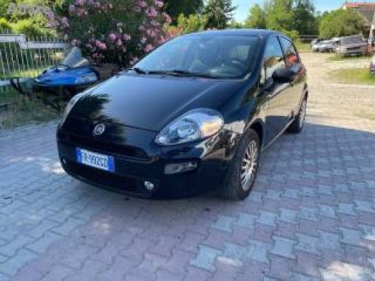 usato FIAT Punto