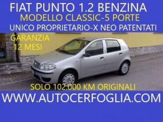 usato FIAT Punto
