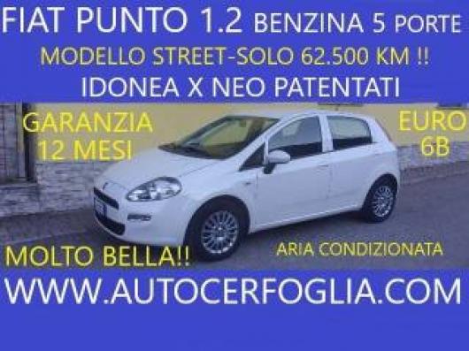 usato FIAT Punto