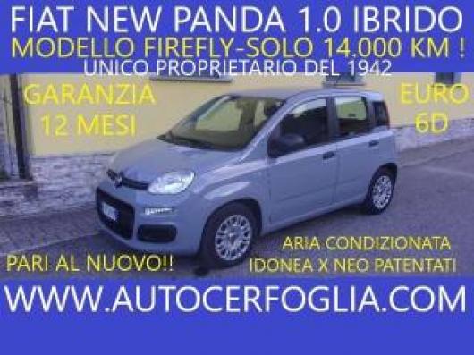 usato FIAT Panda