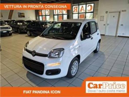 nuovo FIAT Pandina