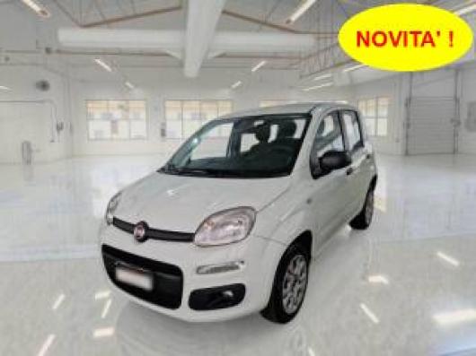 usato FIAT Panda
