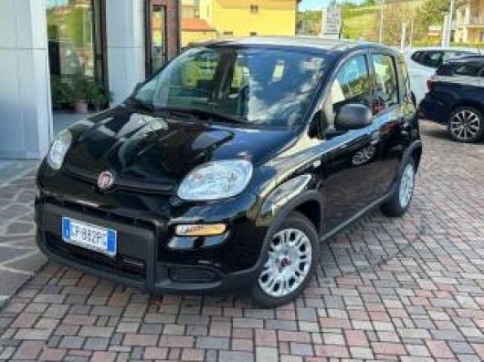usato FIAT Panda