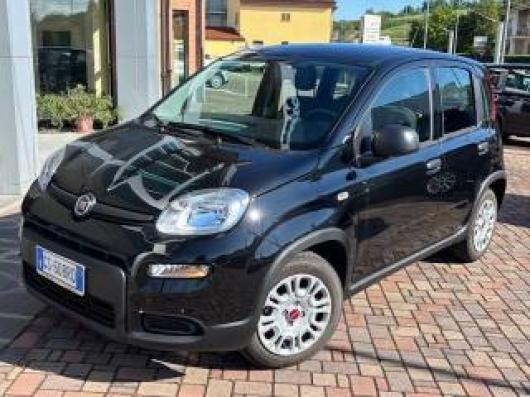 usato FIAT Panda