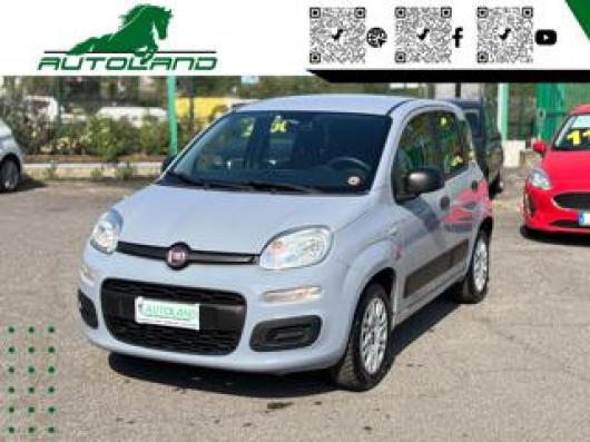 usato FIAT Panda