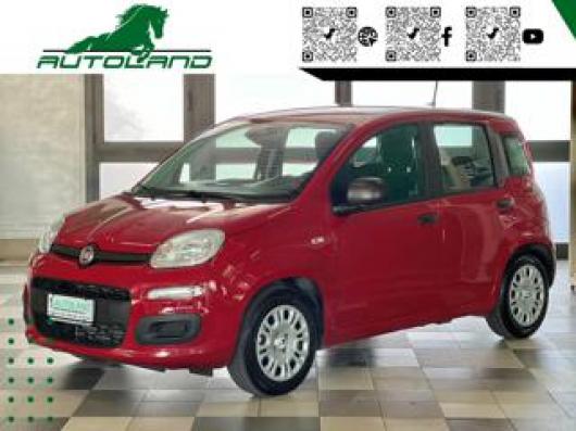 usato FIAT Panda