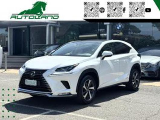 usato LEXUS NX 300