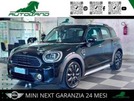 usato MINI Countryman