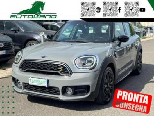 usato MINI Countryman