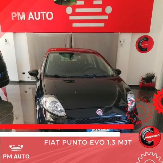 usato FIAT Punto Evo