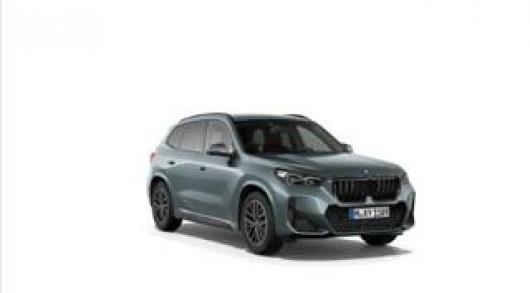 usato BMW X1