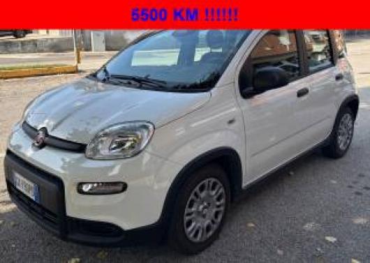 usato FIAT Panda