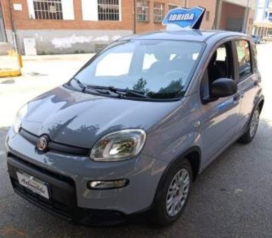 Panda