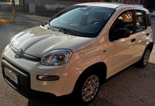 usato FIAT Panda