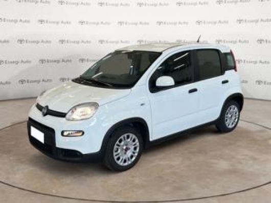 usato FIAT Panda