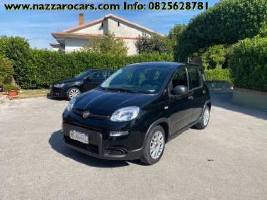 usato FIAT Panda