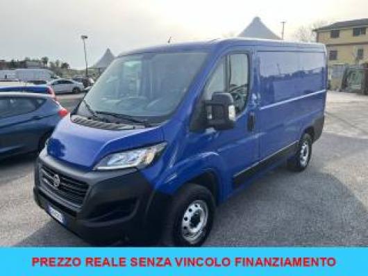 usato FIAT Ducato