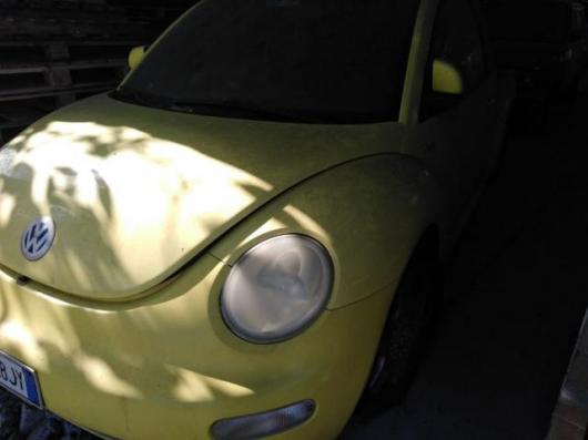 New Beetle