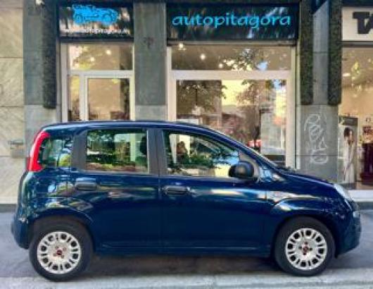 usato FIAT Panda