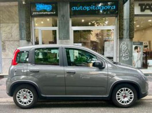 usato FIAT Panda