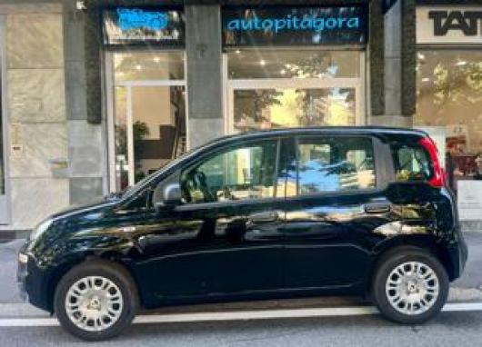 usato FIAT Panda