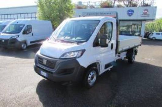 usato FIAT Ducato
