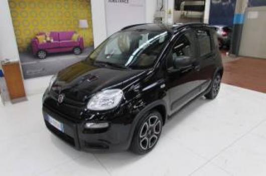 usato FIAT Panda