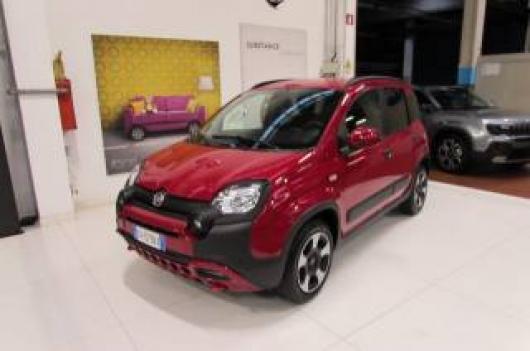 usato FIAT Panda Cross