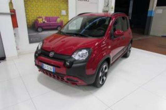 usato FIAT Panda Cross