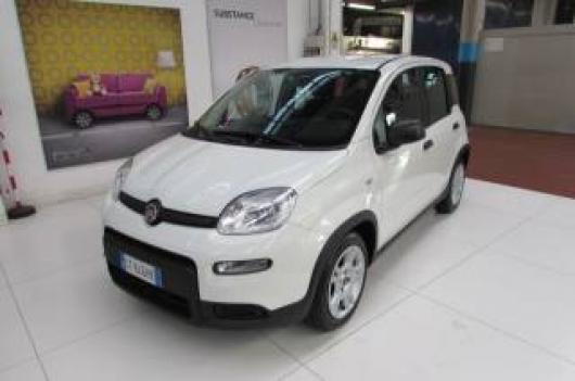 usato FIAT Panda