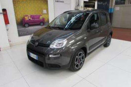 usato FIAT Panda