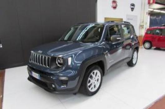 usato JEEP Renegade
