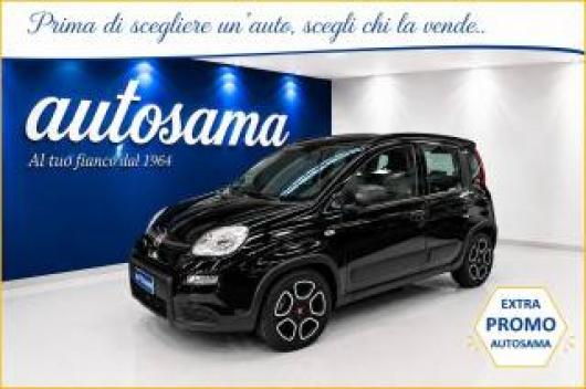 usato FIAT Panda