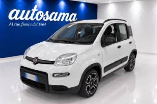 usato FIAT Panda