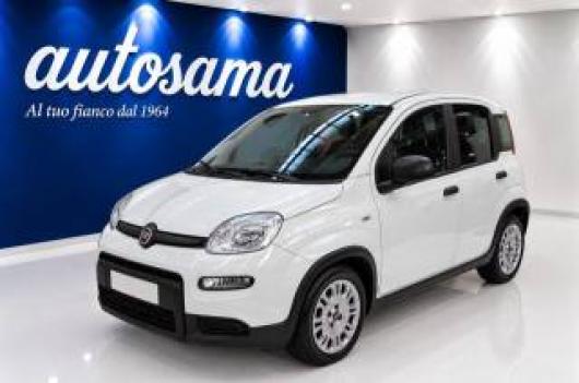 usato FIAT Panda