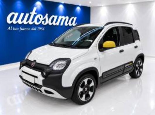 usato FIAT Panda